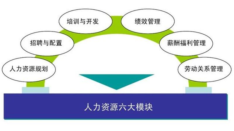 RPO全流程外包服务：揭秘企业用工新选择