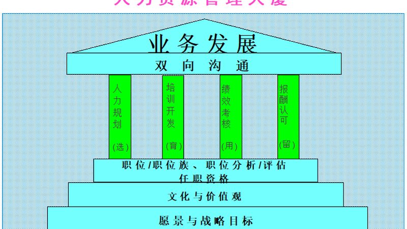 小微企业社保代缴方案对比